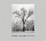 Cover of "Ansel Adams at 100"