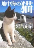 地中海の猫