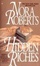 Cover of Hidden Riches