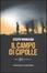 Cover of Il campo di cipolle