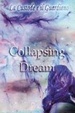 Cover of Collapsing dream