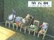 Cover of 第五個