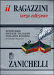Cover of Il Ragazzini
