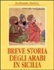 Cover of Breve storia degli arabi in Sicilia