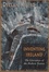 Cover of Inventing Ireland (Convergences