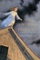 Cover of The Girl Who Could Fly