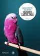 Cover of Quando tutto tace