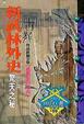 Cover of 新武林外史