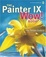 Cover of The Painter IX Wow! Book