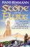 Cover of The Stone and the Flute