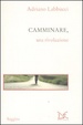Cover of Camminare, una rivoluzione