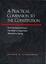 Cover of "A Practical Companion to the Constitution"
