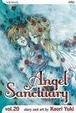 Cover of Angel Sanctuary Vol. 20