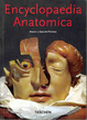 Cover of Encyclopaedia Anatomica