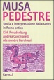 Cover of Musa pedestre