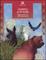 Cover of "Animali di potere"