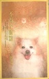 Cover of 不得不服器