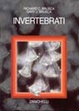 Cover of Invertebrati