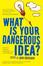 Cover of "What Is Your Dangerous Idea?"