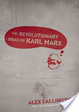 Cover of The Revolutionary Ideas of Karl Marx