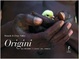 Cover of Origini
