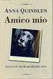 Cover of Amico mio