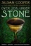 Cover of "Over Sea, Under Stone"