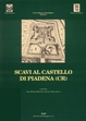 Cover of Scavi al castello di Piadena