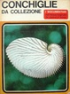 Cover of Conchiglie da collezione