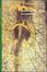 Cover of Non linearità, caos, complessità