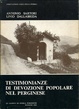 Cover of Testimonianze di devozione popolare nel Perginese