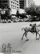 Cover of 台北謠言