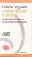 Cover of L' amore delle tre melarance