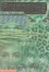 Cover of In the Time of Dinosaurs