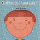 Cover of What Do I look Like?