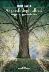 Immagine di Ai piedi degli alberi