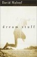 Cover of Dream Stuff
