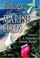 Cover of "Biology of Marine Birds"