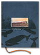 Cover of Acquarelli di viaggio