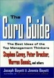 Cover of The Guru Guide