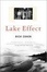 Cover of "Lake Effect"