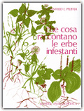Image of Che cosa raccontano le erbe infestanti
