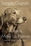 Cover of Animals Make Us Human