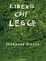 Cover of Libero chi legge