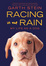 Cover of Racing in the Rain