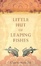 Cover of Little Hut of Leaping Fishes