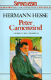 Cover of Peter Camenzind