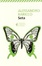 Cover of Seta