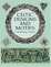 Cover of "Celtic Designs and Motifs"