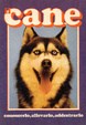 Cover of il cane